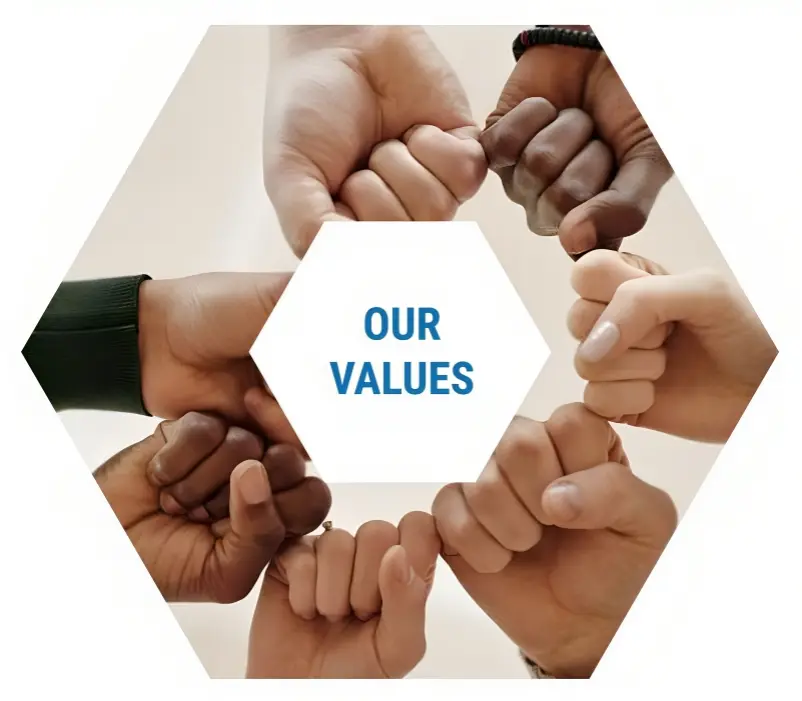 our values